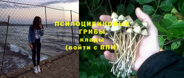 не бодяженный Магадан
