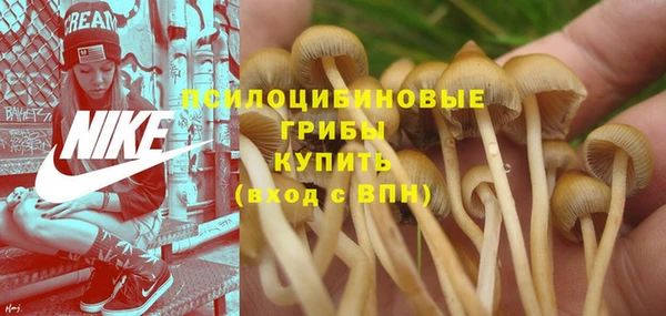 MESCALINE Мегион