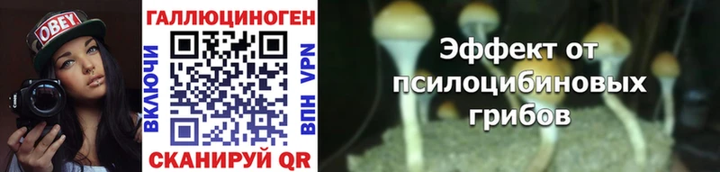 Купить  Одинцово  Псилоцибиновые грибы Psilocybine cubensis 