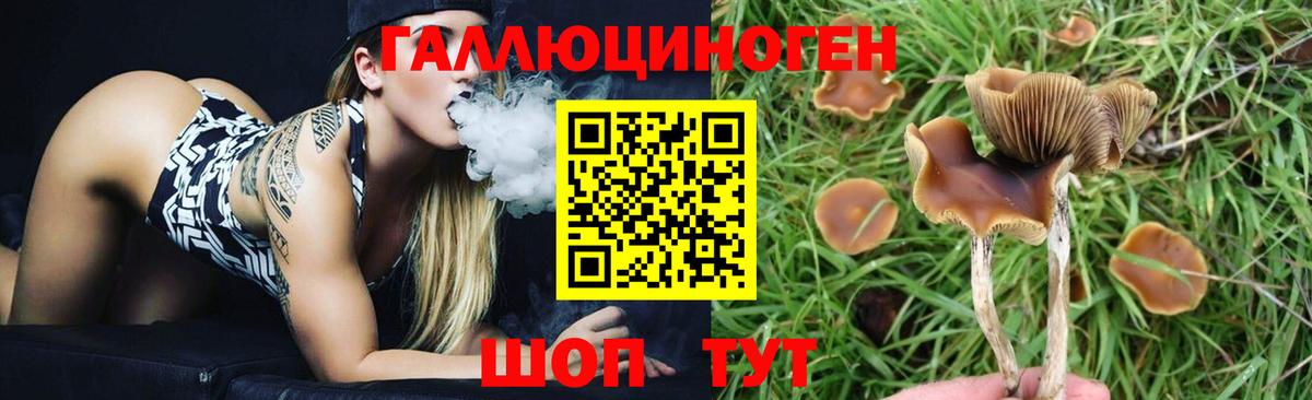 Псилоцибиновые грибы Magic Shrooms  Галлюциногенные грибы прущие грибы  наркошоп  Одинцово  Вход с VPN 